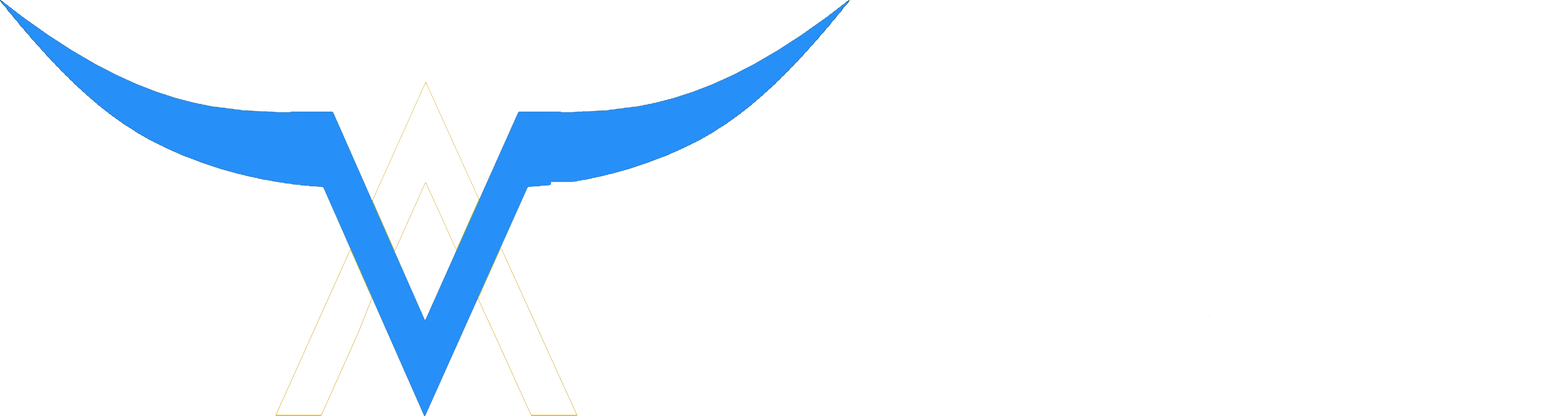 Valkynet Logo